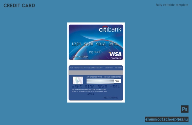 Laos PayPower Bank Visa Platinum Card – Beispielvorschau